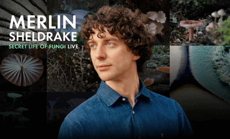 FANE x HOW TO ACADEMY Present:MERLIN SHELDRAKE: THE SECRET LIFE OF FUNGI LIVE